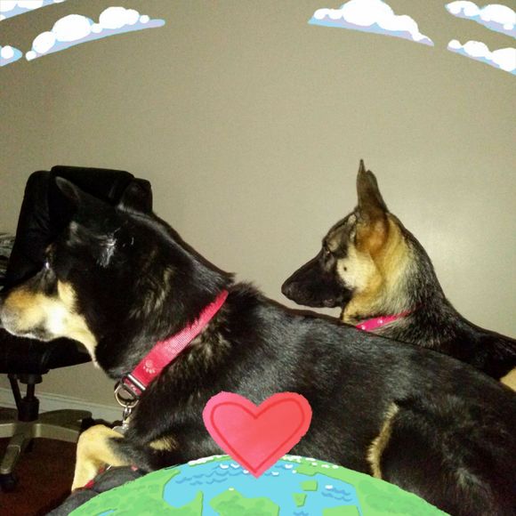 Meet your Posher, Michael - Picture 1 of 1